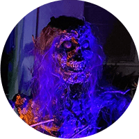 Talking Skelly Pop Up & Turn